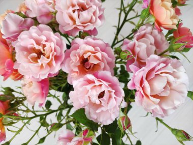 Açık arkaplanda pembe ve turuncu güllerden oluşan güzel bir buket.