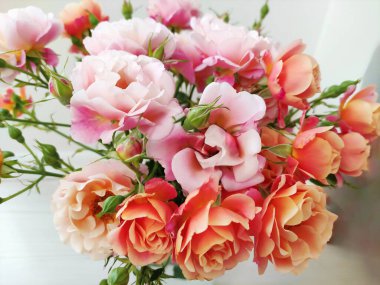 Açık arkaplanda pembe ve turuncu güllerden oluşan güzel bir buket.