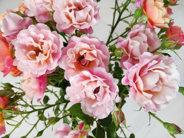 Açık arkaplanda pembe ve turuncu güllerden oluşan güzel bir buket.