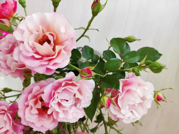 Açık arkaplanda pembe ve turuncu güllerden oluşan güzel bir buket.