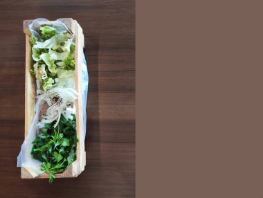Yeşil maydanoz, beyaz soğan ve yeşil salata kahverengi arka planda tahta bir kutuda.