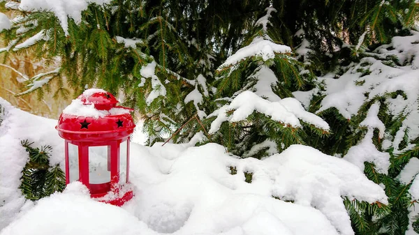 Червоний Ліхтар Зірками Гілках Ялини Вкритих Снігом — стокове фото