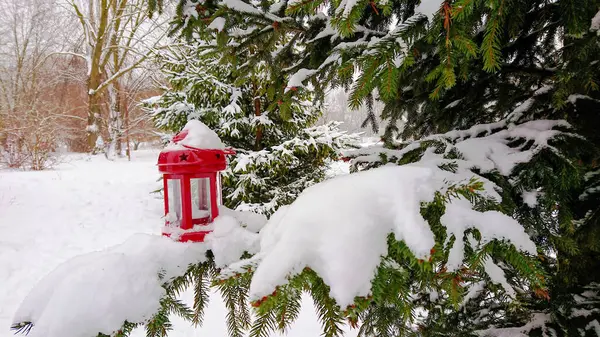 Červená Lucerna Hvězdami Větvích Smrku Pokrytých Sněhem — Stock fotografie