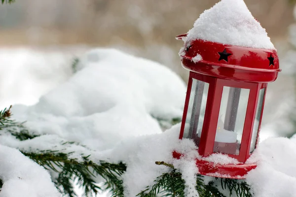 stock image Red lantern with stars on branches of spruce covered with snow