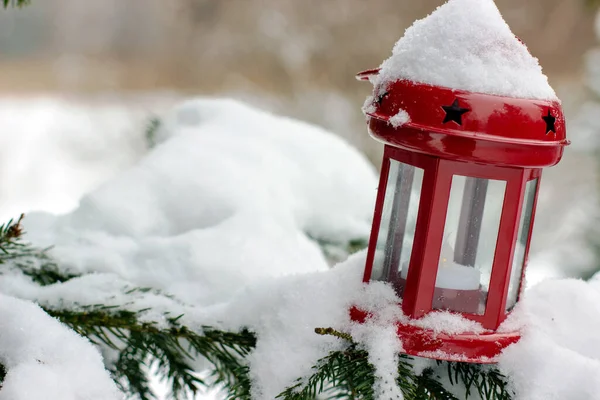 Stock image Red lantern with stars on branches of spruce covered with snow