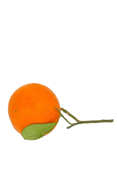 Underbar Saftig Mandarin Med Gröna Blad Vit Bakgrund — Stockfoto