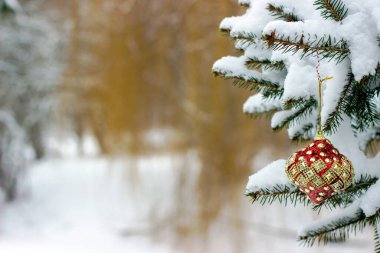 Ladin dalındaki kırmızı ve altın Noel süslemeleri ormanla kaplı.