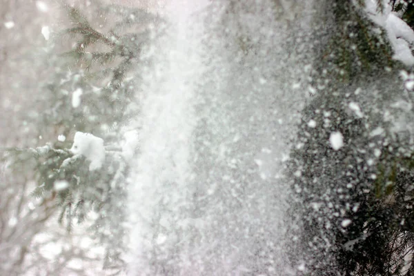 Ramo Abeto Coberto Com Foto Neve Perto — Fotografia de Stock