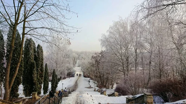 Piękny Widok Ośnieżony Park Zimowy Pogodę — Zdjęcie stockowe