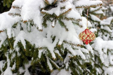 Ladin dalındaki kırmızı ve altın Noel süslemeleri ormanla kaplı.