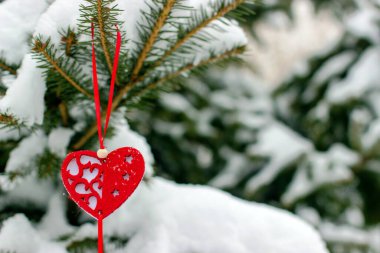 Karla kaplı ladin dalında kalp şeklinde Noel ağacı süslemesi