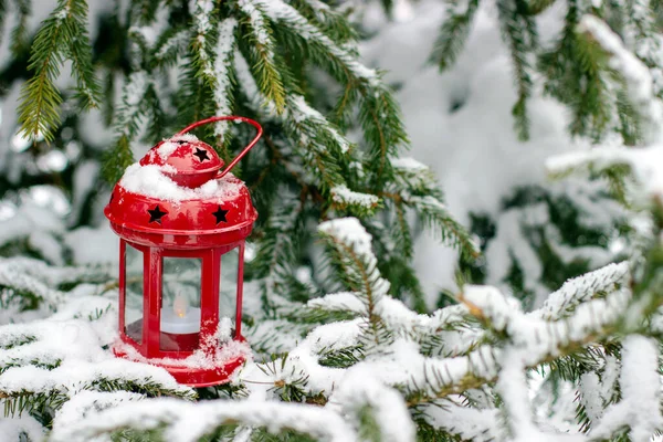 Lanterna Rossa Con Stelle Rami Abete Rosso Ricoperti Neve — Foto Stock