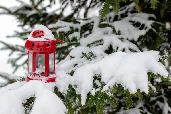 雪に覆われたトウヒの枝に星と赤い提灯 — ストック写真