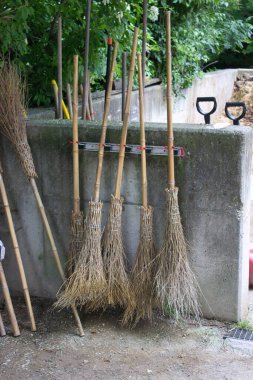 A row of handmade wooden brooms with natural bristles leaning against a concrete wall, surrounded by greenery in an outdoor setting. clipart