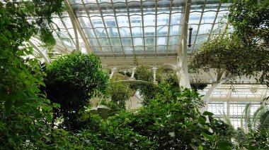 Canlı yeşillikler, bitkiler ve güneş ışığıyla dolu Viktorya dönemi tarzı bir seranın içi dekoratif cam panellerden akıyor..