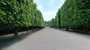 Titizlikle budanmış ağaçlarla dolu manzaralı bir park yolu. Ziyaretçiler, huzurlu manzaraya bir ölçek ve yaşam duygusu katarak yürürken görülüyor..