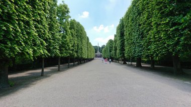 Titizlikle budanmış ağaçlarla dolu manzaralı bir park yolu. Ziyaretçiler, huzurlu manzaraya bir ölçek ve yaşam duygusu katarak yürürken görülüyor..
