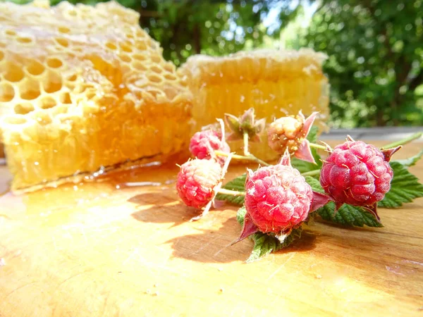 Méhek Gyűjtik Mézet Egy Keretben Méz Élelmiszer Közelkép — Stock Fotó