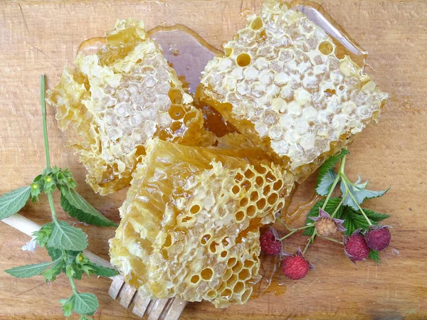 Μέλισσες Συλλέγουν Μέλι Ένα Πλαίσιο Μέλι Για Τρόφιμα Κοντινή Απόσταση — Φωτογραφία Αρχείου