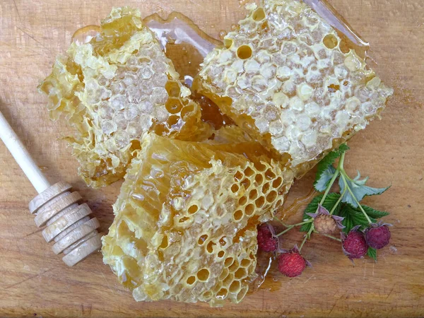 Pszczoły Zbierają Miód Ramce Miód Zbliżenie Żywności — Zdjęcie stockowe