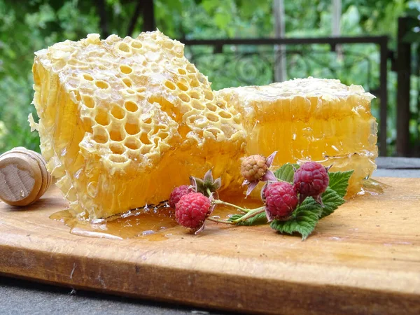 Včely Sbírají Med Rámečku Med Pro Jídlo Zblízka — Stock fotografie