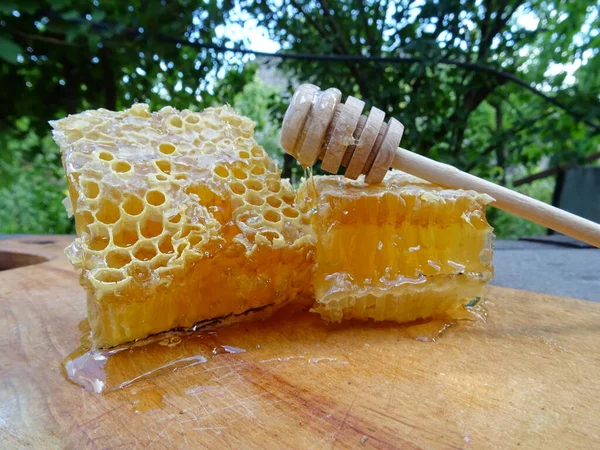 Arılar Bir Çerçevede Bal Toplar Bal Ise Yakın Plan Yemek — Stok fotoğraf