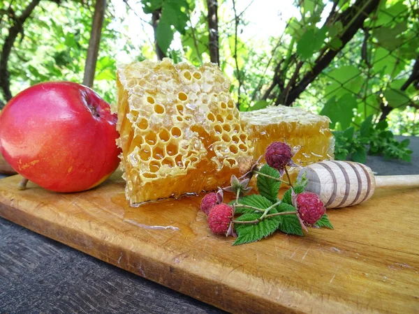 Honey Frame Collected Bees — Fotografia de Stock