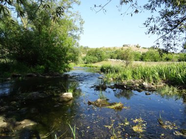 Dağlık bölgede yürüyüş, aromatik otlar.