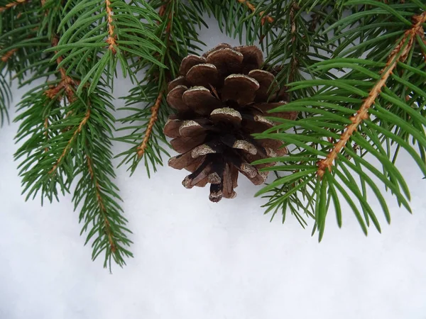 Árvore Natal Com Decorações Natal Imagem Fundo Saudações Férias — Fotografia de Stock
