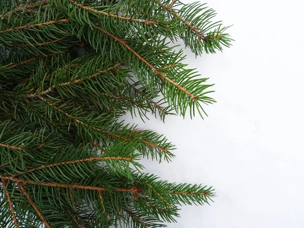 クリスマスの装飾 背景画像 休日の挨拶を持つクリスマスツリー — ストック写真