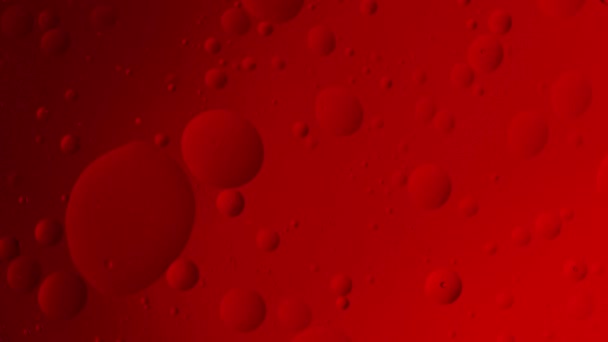 Røde Bobler Kredser Fælles Akse Hypnotiserende Makroskærm Hvilket Tyder Rotationssymmetri – Stock-video