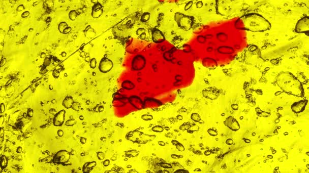 Intenzivní Červené Kapky Barvy Dopadají Průsvitný Povrch Gelu Vzduchovými Bublinami — Stock video