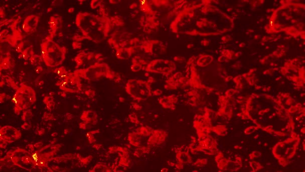 Derin Kırmızı Baloncuklu Bir Yüzey Üzerinde Dikey Bir Panoramik Yolculuk — Stok video