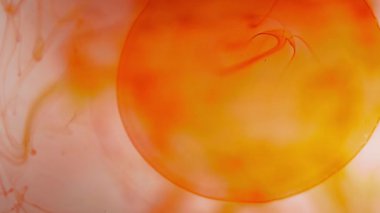 Kuş bakışı perspektiften, tek bir kırmızı mürekkep damlası daha yoğun bir sıvının içine düşer, çarpma anında dışarıya doğru yayılır..