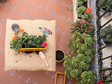 Bahçe aletleri, saksılar ve çiçek açan bitkilerle tipik bir Endülüs verandasının üst görüntüsü. Sulu ve çiçekli bitkiler döşeme boyunca uzanır, canlı bir bahçe alanı yaratır..