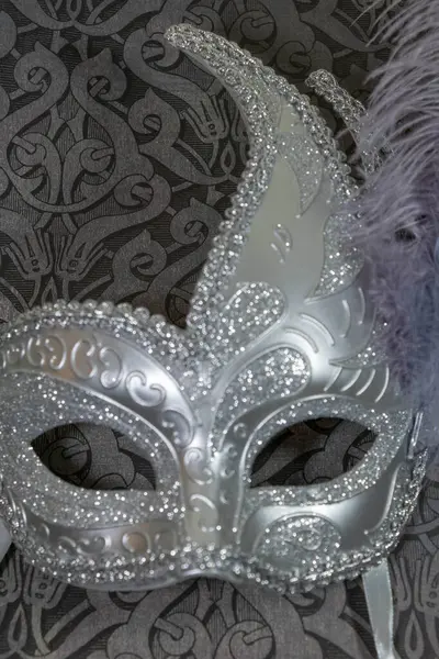 Silver and Purple Carnival Mask