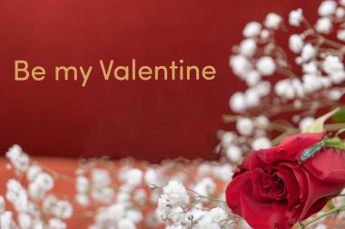 Sevgililer Günü 'nde beyaz çiçeklerden oluşan kırmızı gül ve ilan-ı aşk.