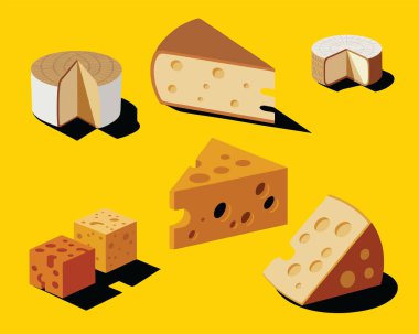 Peynir ürünleri vektör illüstrasyonu
