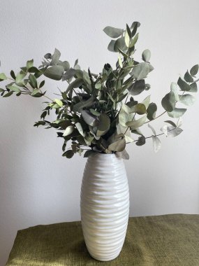 Bir buket yeşil okaliptüs ve şam fıstığı dalları çekmecelerin üzerinde beyaz bir vazoda. Baharın doğal elementleri