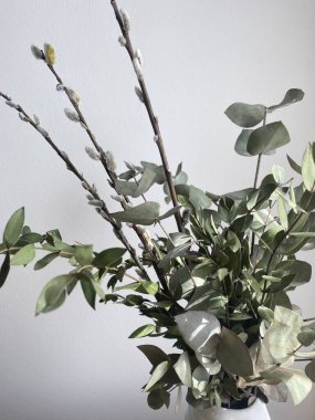 Bir buket yeşil okaliptüs ve çekmecelerde söğüt dalları bulunan şam fıstığı dalları. Baharın doğal elementleri