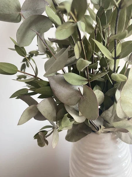 Bouquet Eucalyptus Vert Branches Pistache Dans Vase Blanc Sur Une Images De Stock Libres De Droits