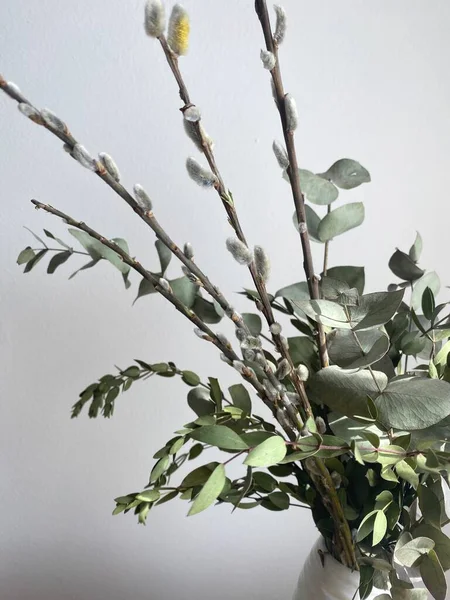一束绿色桉树和开心果枝 柳枝在一个白色花瓶的抽屉里 春天的自然因素 图库照片