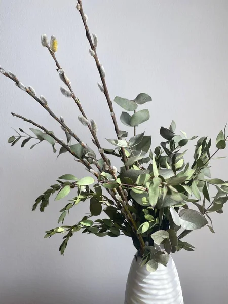 Bouquet Eucalipto Verde Rami Pistacchio Con Rami Salice Vaso Bianco Immagini Stock Royalty Free