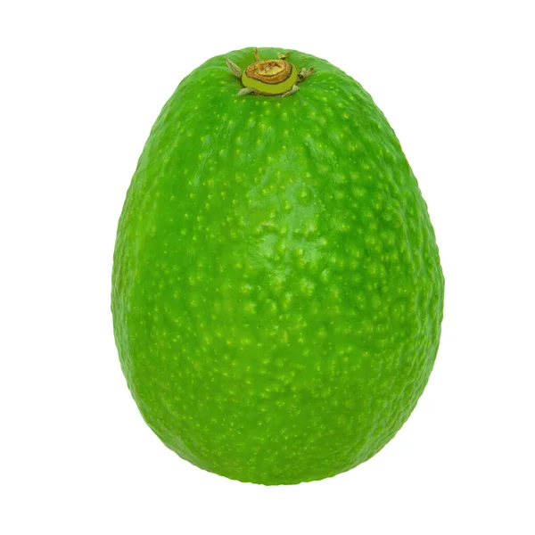 Зеленый Авокадо Выделен Белом Фоне Фотография — стоковое фото
