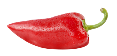 Şeffaf arkaplanda su damlaları olan kırmızı biber.
