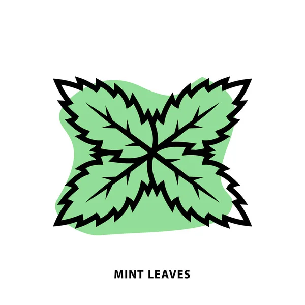 Mint Leaves Лінійний Дизайн Піктограм Програми Або Шаблону Веб Дизайну Стокова Ілюстрація