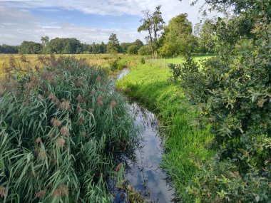 Nehir göğü. Yaz Ormanı, Konum Drentse AA, Hollanda. Nehrin iki yakası ve yansımaları. Parktaki su ve ağaçlar