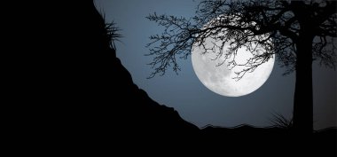 Çizgi film yıldızlı ufuk çizgisi. Dolunayda ve yıldızlarda büyük ay. Ve dolunay. Vektör Ay ışığı akşam simya astroloji sembolü. Ağaçlar ve yıldızlar.