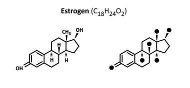 Östrojen, estetrol yapısı C18H24O2 seks hormonu formülü kimyasal yapı molekülü. Tıbbi bir ikon. Östrojenin kimyasal yapısı formülü, adrenalin testosteronu. Yapısal formüller hücreleri.