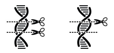 DNA, break or broken. DNA string, double helix spiraal line. RNA gene chromosome elements, medic atom cell. Medical concept of biochemistry with dna molecule. Analysis test tools. Search data.